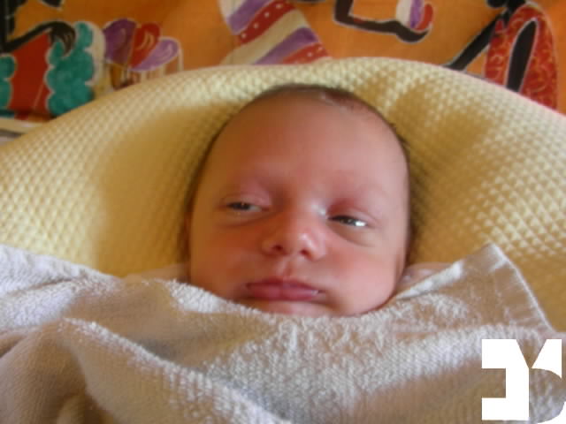 Yuki - 20090830 17.06 - 21 giorni - 269-FDM.JPG